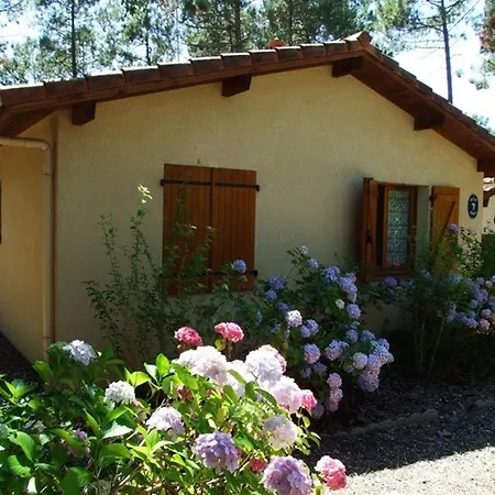 Villa T4 Avec 3 Chambres, Terrasse, Et Proche De L'ocean - Animaux Acceptes - Fr-1-379-145
